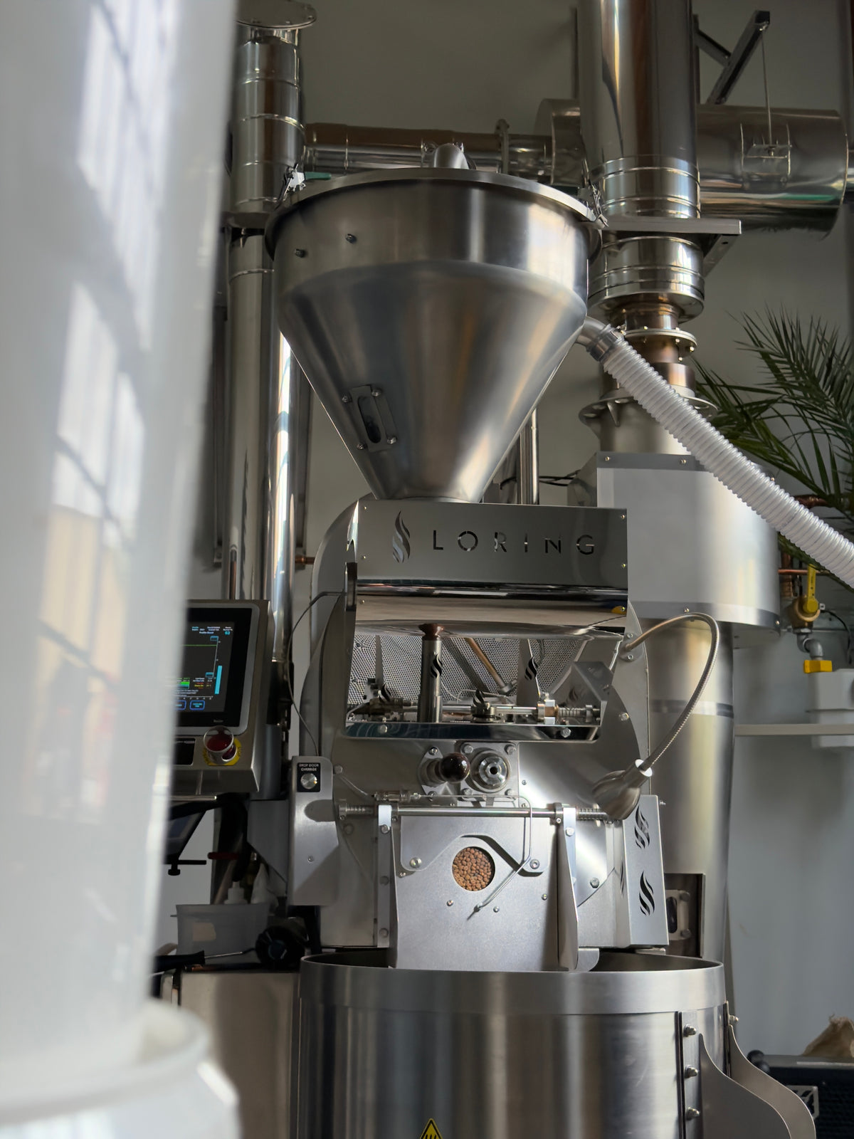 Loring S15 Falcon mit frisch gerösteten Bohnen